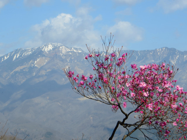 鳴虫山